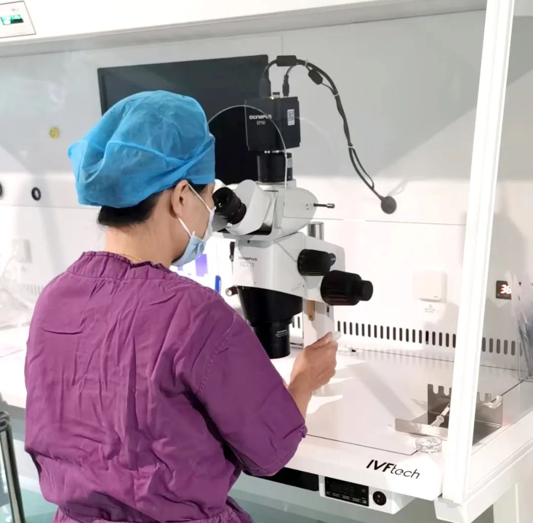 【喜訊】保山首例無精子癥通過試管嬰兒技術(shù)助孕成功！